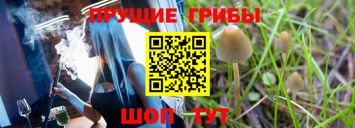 Галлюциногенные грибы ЛСД Красный Сулин